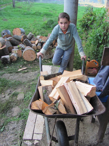 Progetto legna da nonna Anka e altro... 19